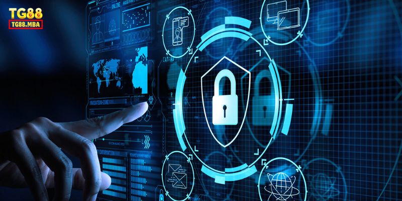 Chính sách điều khoản là gì?