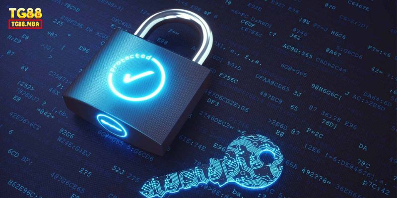 Lưu ý của người chơi với các chính sách điều khoản