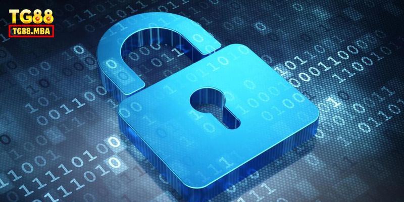 Một số nguyên tắc cơ bản của chính sách bảo mật