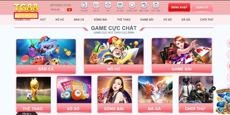 Về chúng tôi - Những sảnh cược đình đám có mặt tại TG88