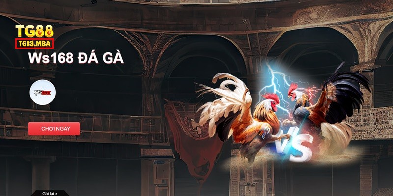 Trải nghiệm cược đầy hấp dẫn tại WS168