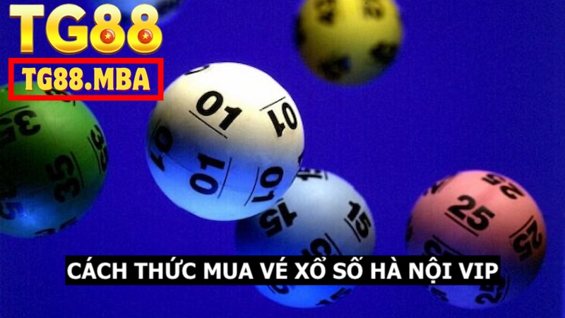 Chi tiết thông tin về cách thức mua vé cho khách hàng