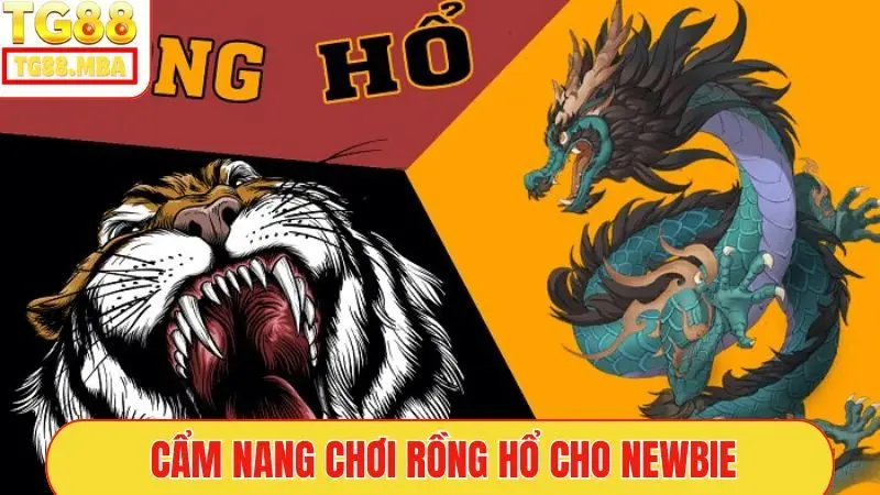 Cẩm nang chơi Rồng Hổ cho newbie